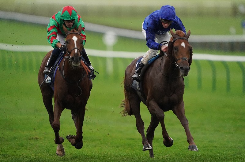 newmarket