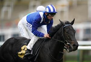 NEWMARKET, ENGLAND - OCTOBER 21: Mutasaabeq ridden by Dane O'Neill wins the Download The MansionBet App Novice Stakes at Newmarket Racecourse on October 21, 2020 in Newmarket, England. (Photo by Tim Goode - Pool/Getty Images)