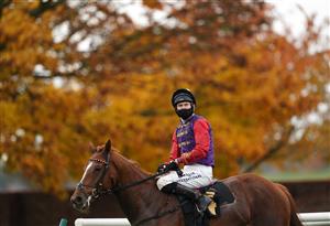 NEWMARKET, ENGLAND - OCTOBER 21: Pied Piper ridden by Robert Havlin after winning the Rossdales Laboratories Maiden Stakes at Newmarket Racecourse on October 21, 2020 in Newmarket, England. (Photo by Tim Goode-Pool/Getty Images)