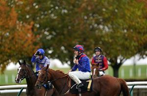 NEWMARKET, ENGLAND - OCTOBER 21: Fragrant Storm and jockey Richard Kingscote the Rossdales Laboratories Maiden Stakes at Newmarket Racecourse on October 21, 2020 in Newmarket, England. (Photo by Tim Goode-Pool/Getty Images)