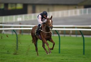 NEWMARKET, ENGLAND - OCTOBER 21: Silvestre De Sousa on board Freyja on their way to winning the Best Odds Guaranteed At MansionBet Fillies' Handicap at Newmarket Racecourse on October 21, 2020 in Newmarket, England. (Photo by Tim Goode-Pool/Getty Images)