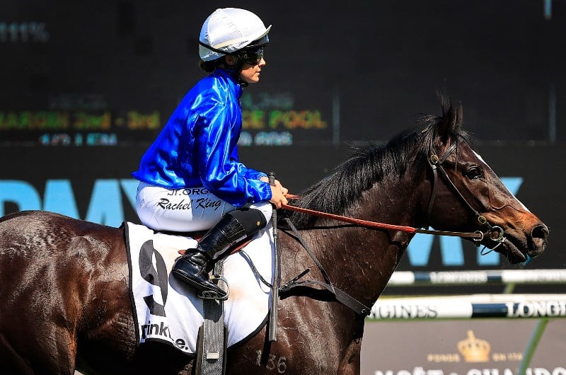 Big Bets for 24.10.2020