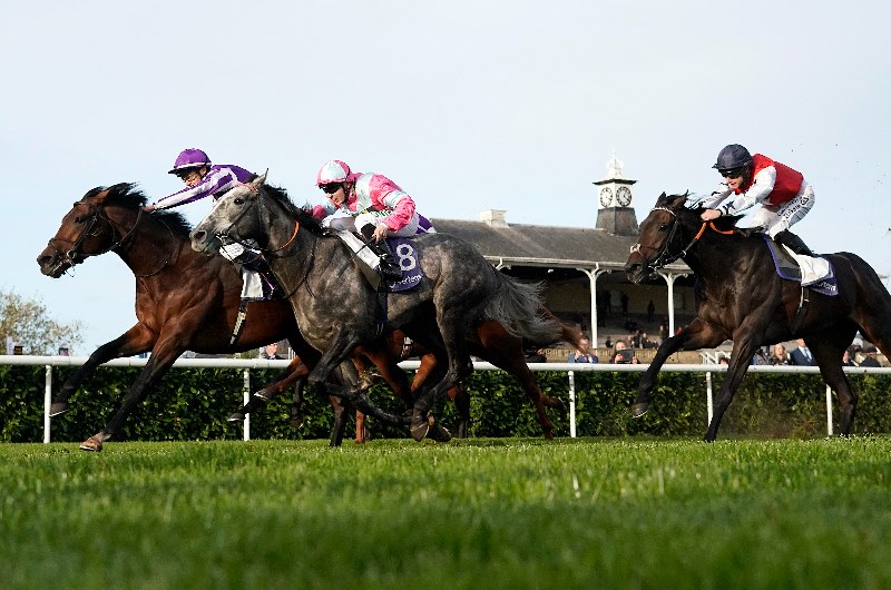 Doncaster races