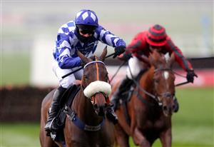 CHELTENHAM, ENGLAND - OCTOBER 23: Does He Know ridden by jockey David Bass wins the Ballymore Novices' Hurdle (GBB Race) at Cheltenham Racecourse on October 23, 2020 in Cheltenham, England. (Photo by David Davies - Pool / Getty Images)