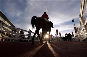 CHELTENHAM, ENGLAND - OCTOBER 23: Runners and riders after the (Old) Two Farmers Crisps Novices' Chase (GBB Race) at Cheltenham Racecourse on October 23, 2020 in Cheltenham, England. (Photo by David Davies - Pool / Getty Images)