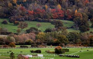 CHELTENHAM, ENGLAND - OCTOBER 23: General view of runners and Riders in the squareintheair.com Handicap Hurdle at Cheltenham Racecourse on October 23, 2020 in Cheltenham, England. (Photo by David Davies - Pool / Getty Images)