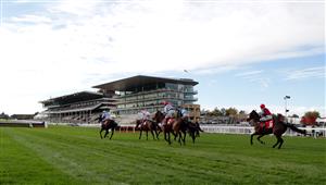 CHELTENHAM, ENGLAND - OCTOBER 23: Runners and riders at the start of the (Old) Matchbook Better Way To Bet Novices' Chase (GBB Race) at Cheltenham Racecourse on October 23, 2020 in Cheltenham, England. (Photo by David Davies - Pool / Getty Images)