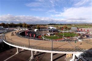 CHELTENHAM, ENGLAND - OCTOBER 23: Horses in the parade ring ahead of the squareintheair.com Handicap Hurdle at Cheltenham Racecourse on October 23, 2020 in Cheltenham, England. (Photo by David Davies - Pool / Getty Images)