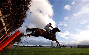 CHELTENHAM, ENGLAND - OCTOBER 23: Faivoir ridden by jockey Harry Skelton on the way to winning the (Old) Catesby Estates Maiden Hurdle (GBB Race) at Cheltenham Racecourse on October 23, 2020 in Cheltenham, England. (Photo by David Davies - Pool / Getty Images)
