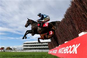 CHELTENHAM, ENGLAND - OCTOBER 23: Mossy Fen and jockey Sam Twiston-Davies clear a fence during the (Old) Matchbook Better Way To Bet Novices' Chase (GBB Race) at Cheltenham Racecourse on October 23, 2020 in Cheltenham, England. (Photo by David Davies - Pool / Getty Images)