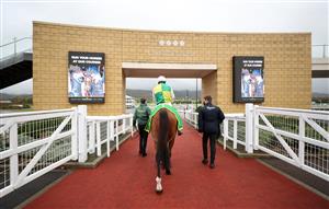 CHELTENHAM, ENGLAND - OCTOBER 24: Cloth Cap and jockey Richie McLernon walk out for the Matchbook Betting Exchange Handicap Chase at Cheltenham Racecourse on October 24, 2020 in Cheltenham, England. (Photo by David Davies - Pool/Getty Images)