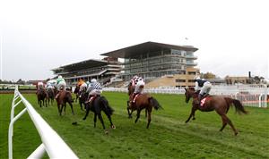 CHELTENHAM, ENGLAND - OCTOBER 24: Runners and riders in front of empty stands during the Pertemps Network Handicap Hurdle at Cheltenham Racecourse on October 24, 2020 in Cheltenham, England. (Photo by David Davies - Pool/Getty Images)