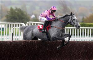 CHELTENHAM, ENGLAND - OCTOBER 24: Southfield Stone ridden by Harry Cobden wins the Best Odds At Matchbook Novices' Chase at Cheltenham Racecourse on October 24, 2020 in Cheltenham, England. (Photo by David Davies - Pool / Getty Images)