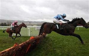 CHELTENHAM, ENGLAND - OCTOBER 24: Streets Of Doyen ridden by Richard Johnson clears a fence before going on to win the Lara Telfer Reined In For Racing Welfare Novices' Hurdle at Cheltenham Racecourse on October 24, 2020 in Cheltenham, England. (Photo by David Davies - Pool/Getty Images)
