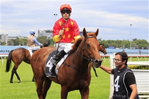 SYDNEY, AUSTRALIA - OCTOBER 24: Jason Collett on Tiger Of Malay returns to scale after winning race 1 the Forum Group Kirkham Plate during Sydney Racing at Royal Randwick Racecourse on October 24, 2020 in Sydney, Australia. (Photo by Mark Evans/Getty Images)