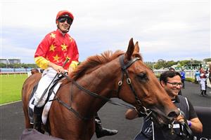 SYDNEY, AUSTRALIA - OCTOBER 24: Jason Collett on Tiger Of Malay returns to scale after winning race 1 the Forum Group Kirkham Plate during Sydney Racing at Royal Randwick Racecourse on October 24, 2020 in Sydney, Australia. (Photo by Mark Evans/Getty Images)