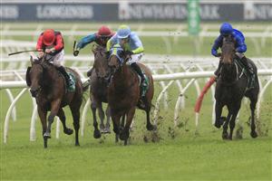 SYDNEY, AUSTRALIA - OCTOBER 24: Josh Parr on Positive Peace wins race 7 the Daily Press Nivison during Sydney Racing at Royal Randwick Racecourse on October 24, 2020 in Sydney, Australia. (Photo by Mark Evans/Getty Images)
