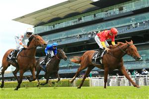 SYDNEY, AUSTRALIA - OCTOBER 24: Jason Collett on Tiger Of Malay wins race 1 the Forum Group Kirkham Plate during Sydney Racing at Royal Randwick Racecourse on October 24, 2020 in Sydney, Australia. (Photo by Mark Evans/Getty Images)