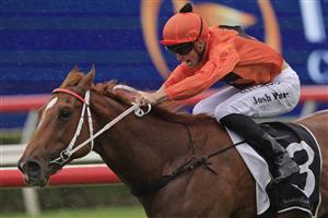 SYDNEY, AUSTRALIA - OCTOBER 24: Josh Parr on The Bopper wins race 3 the AMD Brian Crowley Stakes during Sydney Racing at Royal Randwick Racecourse on October 24, 2020 in Sydney, Australia. (Photo by Mark Evans/Getty Images)