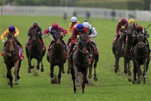 SYDNEY, AUSTRALIA - OCTOBER 24: Tom Sherry on Icebath wins race 9 the Sharp EIT Handicap during Sydney Racing at Royal Randwick Racecourse on October 24, 2020 in Sydney, Australia. (Photo by Mark Evans/Getty Images)