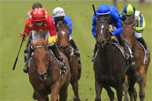 SYDNEY, AUSTRALIA - OCTOBER 24: Jason Collett on Tiger Of Malay wins race 1 the Forum Group Kirkham Plate during Sydney Racing at Royal Randwick Racecourse on October 24, 2020 in Sydney, Australia. (Photo by Mark Evans/Getty Images)