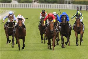 SYDNEY, AUSTRALIA - OCTOBER 24: Jason Collett on Tiger Of Malay wins race 1 the Forum Group Kirkham Plate during Sydney Racing at Royal Randwick Racecourse on October 24, 2020 in Sydney, Australia. (Photo by Mark Evans/Getty Images)