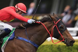 SYDNEY, AUSTRALIA - OCTOBER 24: Winona Costin on Proven Class wins race 2 the TAB Highway Handicap during Sydney Racing at Royal Randwick Racecourse on October 24, 2020 in Sydney, Australia. (Photo by Mark Evans/Getty Images)