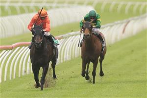 SYDNEY, AUSTRALIA - OCTOBER 24: Nash Rawiller on Cuba wins race 4 the Robrick Lodge Filante Handicap during Sydney Racing at Royal Randwick Racecourse on October 24, 2020 in Sydney, Australia. (Photo by Mark Evans/Getty Images)