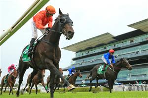 SYDNEY, AUSTRALIA - OCTOBER 24: Nash Rawiller on Cuba wins race 4 the Robrick Lodge Filante Handicap during Sydney Racing at Royal Randwick Racecourse on October 24, 2020 in Sydney, Australia. (Photo by Mark Evans/Getty Images)