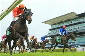SYDNEY, AUSTRALIA - OCTOBER 24: Nash Rawiller on Cuba wins race 4 the Robrick Lodge Filante Handicap during Sydney Racing at Royal Randwick Racecourse on October 24, 2020 in Sydney, Australia. (Photo by Mark Evans/Getty Images)