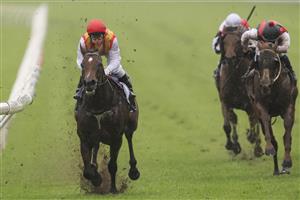 SYDNEY, AUSTRALIA - OCTOBER 24: Tim Clark on Peltzer wins race 6 the Bar 83 Bondi Stakes during Sydney Racing at Royal Randwick Racecourse on October 24, 2020 in Sydney, Australia. (Photo by Mark Evans/Getty Images)