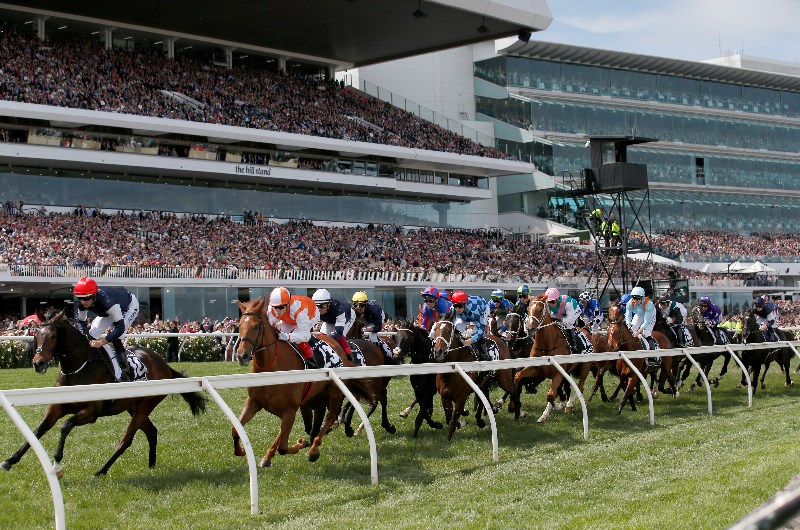 Melbourne Cup Runner By Runner guide