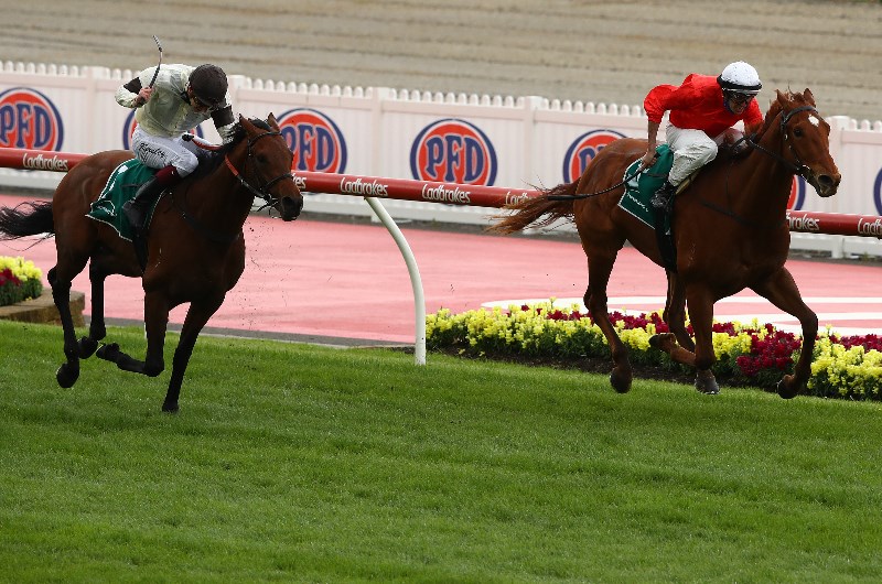 VRC Derby 2020 Odds