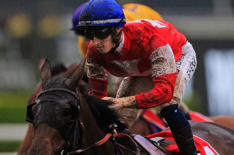 Tom Sherry Megabet