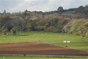 CHEPSTOW, WALES - OCTOBER 27: A general view of racing during The Wizard Of Big Odds At tipstersempire.co.uk Handicap Hurdle at Chepstow Racecourse on October 27, 2020 in Chepstow, Wales. Owners are allowed to attend if they have a runner at the meeting otherwise racing remains behind closed doors to the public due to the Coronavirus pandemic. (Photo by Alan Crowhurst/Getty Images)