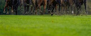 CHEPSTOW, WALES - OCTOBER 27: A general view of hooves and grass during The Cotswold Racing At tipstersempire.co.uk Mares' Handicap Hurdle at Chepstow Racecourse on October 27, 2020 in Chepstow, Wales. Owners are allowed to attend if they have a runner at the meeting otherwise racing remains behind closed doors to the public due to the Coronavirus pandemic. (Photo by Alan Crowhurst/Getty Images)