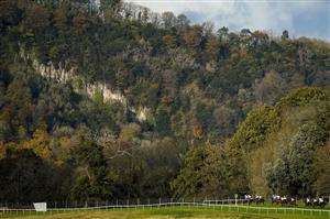 CHEPSTOW, WALES - OCTOBER 27: A general view of racing during The Wizard Of Big Odds At tipstersempire.co.uk Handicap Hurdle at Chepstow Racecourse on October 27, 2020 in Chepstow, Wales. Owners are allowed to attend if they have a runner at the meeting otherwise racing remains behind closed doors to the public due to the Coronavirus pandemic. (Photo by Alan Crowhurst/Getty Images)