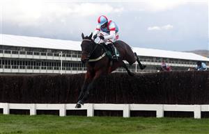 CHELTENHAM, ENGLAND - OCTOBER 23: Rouge Vif ridden by jockey Daryl Jacob clears a fence on the way to winning the (Old) Bentley Flying Spur Handicap Chase at Cheltenham Racecourse on October 23, 2020 in Cheltenham, England. (Photo by David Davies - Pool / Getty Images)