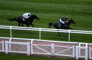 CHELTENHAM, ENGLAND - OCTOBER 24: I Am Maximus ridden by Nico de Boinville wins the Royal Gloucestershire Hussars Standard Open NH Flat Race at Cheltenham Racecourse on October 24, 2020 in Cheltenham, England. (Photo by David Davies - Pool/Getty Images)