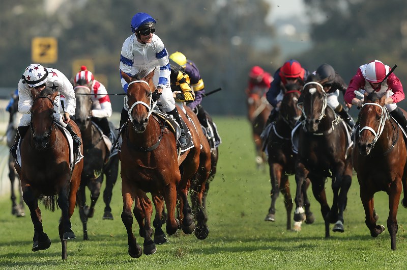 Rosehill Tips for 31.10.2020