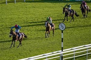 TAUNTON, ENGLAND - OCTOBER 28: David Bass riding Rose To Fame (L) clear the last to win The Invest Southwest Handicap Hurdle at Taunton Racecourse on October 28, 2020 in Taunton, England. Owners are allowed to attend if they have a runner at the meeting otherwise racing remains behind closed doors to the public due to the Coronavirus pandemic. (Photo by Alan Crowhurst/Getty Images)
