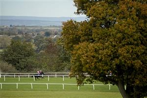 TAUNTON, ENGLAND - OCTOBER 28: Action during The Summerfield Developments Novices' Hurdle at Taunton Racecourse on October 28, 2020 in Taunton, England. Owners are allowed to attend if they have a runner at the meeting otherwise racing remains behind closed doors to the public due to the Coronavirus pandemic. (Photo by Alan Crowhurst/Getty Images)