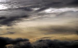 WETHERBY, ENGLAND - OCTOBER 30: Birds fly over the course at Wetherby Racecourse on October 30, 2020 in Wetherby, England. (Photo by Tim Goode - Pool/Getty Images)
