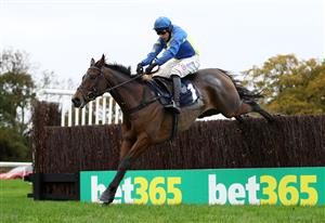 WETHERBY, ENGLAND - OCTOBER 30: Shan Blue ridden by Harry Skelton clears the last before going on to win the bet365 Novices' Chase at Wetherby Racecourse on October 30, 2020 in Wetherby, England. (Photo by Tim Goode - Pool/Getty Images)