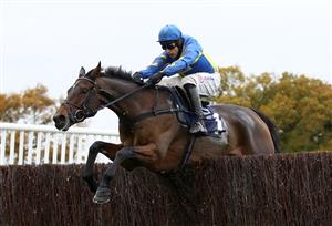 WETHERBY, ENGLAND - OCTOBER 30: Shan Blue ridden by Harry Skelton clears the last before going on to win the bet365 Novices' Chase at Wetherby Racecourse on October 30, 2020 in Wetherby, England. (Photo by Tim Goode - Pool/Getty Images)