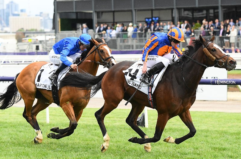 2020 Mackinnon Stakes Betting Tips, Preview & Odds