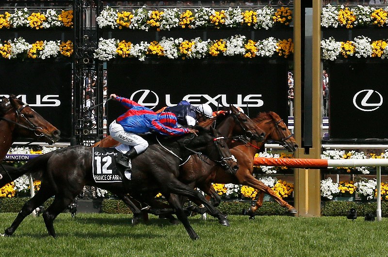 Melbourne Cup Exotics Tips