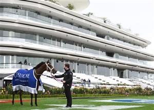 MELBOURNE, AUSTRALIA - OCTOBER 31: September Run after winning race 6, the Race 6, the Coolmore Stud Stakes, during 2020 AAMI Victoria Derby Day at Flemington Racecourse on October 31, 2020 in Melbourne, Australia. (Photo by Vince Caligiuri/Getty Images for the VRC)