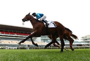 MELBOURNE, AUSTRALIA - OCTOBER 31: Daniel Stackhouse riding #1 Crosshaven wins race one the Network 10 Carbine Club Stakes during 2020 AAMI Victoria Derby Day at Flemington Racecourse on October 31, 2020 in Melbourne, Australia. (Photo by Robert Cianflone/Getty Images for the VRC)