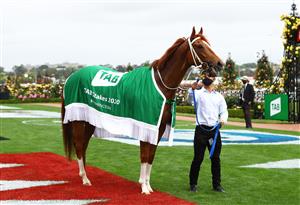 MELBOURNE, AUSTRALIA - OCTOBER 31: #4 Kemalpasa stands in the mounting yard after winning race three the Tab Stakes during 2020 AAMI Victoria Derby Day at Flemington Racecourse on October 31, 2020 in Melbourne, Australia. (Photo by Robert Cianflone/Getty Images for the VRC)